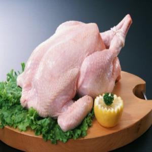 Poulet ukrainien surgelé en gros, poulet en stock