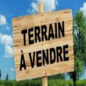 Vente 400ha titré - mine terrain concession vente terrain agricole titré dans la région du gharbe,  région connue par son climat et par la nature de sa terre qui convient à la culture des fraises, avocat etc...