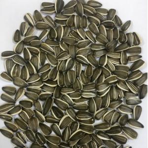 SUNFLOWER SEEDS CROP 2020 - roasted seeds and nuts only serious buyers--origine- ukraine--type- reina k (dakota),  jaguar,  lakomka--size mm.- 7+/8+/9+--the goods are fit for human consumption--organoleptical characteristics--colour- greenish-white kernel,  striped peel.--smell- typical,  fresh,  not rancid,  without off-odors--taste- typical,  not rancid, 