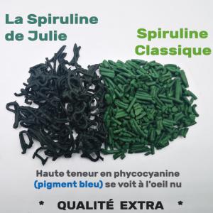 Complément alimentaire SPIRULINE Producteur