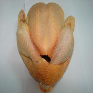 Fresh Frozen Halal Chicken, pork, meat supplier - meat and eggs description-- --high quality parts of frozen chicken.-- --several options- --*chicken breast --*chicken legs --*chicken quarter legs --*chicken drumsticks --*chicken wings-- *chicken inner fillets *--chicken mid-joint wings ----we can supply turkey as well ----shipping----10 kg/box--91 boxes/pallet 