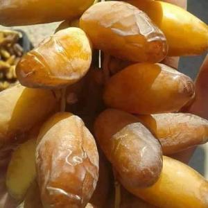 Dattes algerienne deglet nour - fruits et légumes dattes algerienne deglet nour de meilleure qualité,  disponible tout au long de l'année jusqu'au 500 tonnes avec un meilleure prix et selon la quantité,  et un temps d'expédition très réduit.