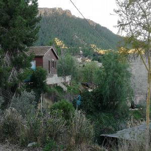 Maison en bois et manèges en Espagne  - mine terrain concession je met en vente un terrain de 12.000 mts avec 2 maisons en bois de 115 mts chacunes ,  avec piscine de 10 x 5 mts,  instalation pour 15 chevaux ,  piste pour monter a cheval de 65 x 35 mts,  3 box,  petite piste de 15 x 12 mts,  hangar,  sans voisins dans la montagne de murcia,  250.000€ 