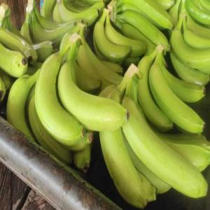 Bonnes qualité bananes et ananas de cote d'ivoie