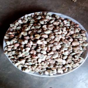 Recherche d'un acheteur potentiel - fruits secs et graines grillées nous mettons en vente au bénin des produits de qualité et quantité tels que- noix de cajou; amandes de karité; beurre de karité ; soja; maïs; haricot.... etc