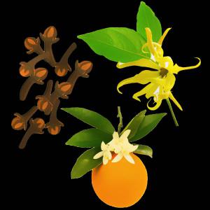 Huiles essentielles et epices - autres vente huiles essentielles ylang ylang,  oranger,  huile de girofle.etc. vente clou de girofle et griffe de girofle... 