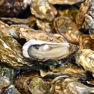 VENTRE D'HUÎTRES DE FLEUVE - coquillage crustacé je suis au benin. et je mets a la disposition de tous ceux souhaiteraient acheter des huitres d eau douce,  des huitres naturelles cru ou pre cuit de meilleure qualite destinees a la consommation