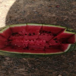 Offer product watermelon origin Morocco - fruits et légumes nous pouvons vous offrir des pastèque origine maroc--bonne qualité et meilleur prix.--we can offer watermelon from morocco --good quality and best price