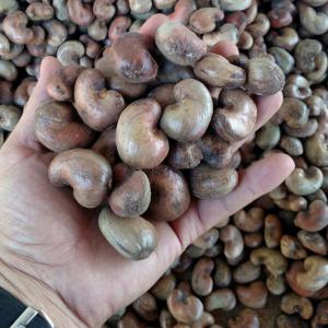 African raw cashew nuts exporter  - roasted seeds and nuts origin- benin--number of nuts- between 170 and 200 nuts / kg--core output- between 50 and 56 lbs--foreign material- 1.5% max.--humidity- 8% max.--float rate- 10% max.--total defective- 5% max.--cashew nut color- natural and fresh--jute bag 80kg--26 ton / 40 feet containers (325 bags)--minimum order-