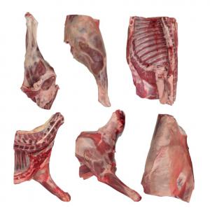 Frozen Halal Mutton Carcass & 6 cuts - meat and eggs we are selling frozen halal mutton carcass & 6 cuts.--origin- italy--price- €3.25/kg exw (carcass) and €3.35/kg exw (6 cuts)--- 3 containers 40ft