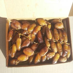 Dates Deglet Nour of Tunisia - fruits et légumes dates deglet nour of tunisia fresh natural and processed in different packaging,  250g,  500g,  283g,  850g,  1kg,  2kg,  5kg,  10kg--on branches,  without branches,  pitted,  processed with glucose syrop,  hydrated,  semi dry,  dry.