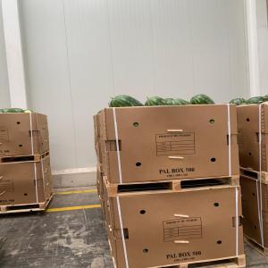 Pastèques du Maroc / Wassermelonen - fruits et légumes pasteques du maroc prix de 0, 58euro par kg en allemagne.--wassermelonen aus marokko für 0, 58euro pro kg in deutschland.----