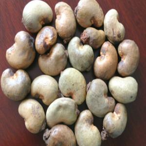 Africa raw cashew nuts exporter - roasted seeds and nuts origin- benin--number of nuts- between 170 and 200 nuts / kg--core output- between 50 and 56 lbs--foreign material- 1.5% max.--humidity- 8% max.--float rate- 10% max.--total defective- 5% max.--cashew nut color- natural and fresh--80kg--26 ton / 40 feet containers (325 bags)--minimum order- 5 x 40-f