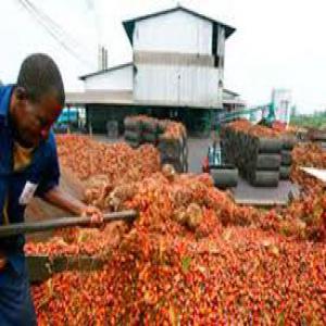 HUILE DE PALME CP01, CP02 ORIGINE COTE D'IVOIRE - huiles nous produisons et vendons de l'huile de palme cp01,  cpo2 et cp03. l'usine se trouve a l'intérieur du pays. nous avons une capacite de production de 25000 tonne. prix usine- selon saison- nous vendons aussi les coques. prix usine- selon saison; nous vendons egalement l'amende de palmiste. pri