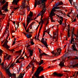 Vente de piment de Cayenne (Dry chili pepper) - fruits et légumes piments cayenne seche (dry chili pepper) disponible en quantite enorme. nous contacter pour vos besoins. disponible au ghana.