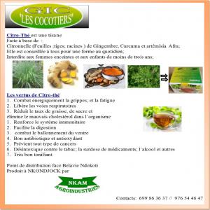  tisanne à base de Citronnelle, gingelbre curcuma