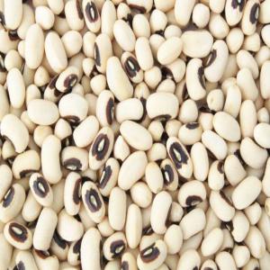  Looking for black eyed beans'buyer - roasted seeds and nuts we are black eyed beans' supplier in madagascar and we are looking for black eyed beans'buyer (= cowpea = vigna unguiculata = lojy = black eyed peas beans = voemba).--export for dubai,  india,  pakistan,  europe,  africa,  asia,  mayotte,  reunion--please contact us for more information.