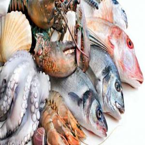 Exportation de Produits Halieutiques - poissons nous vendons de la poisson fraîche de bonne qualité -thiof,  badèche,  dorade,  mérou,  coq rouge,  sar blanc,  langouste vivante,  cigale,  sole roche,  poulpe seiche .etc...nous sommes bases a dakar et au quai de peche de mbour nous cherchons des clients partenaires sérieu