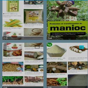 Recherche de client  pour mes produits viviers - céréales salut--pour la bonne productivité de votre société ou entreprise , j'ai a ma disposition plusieurs céréales comme maïs, farine de manioc, manioc , haricots etc.. --je suis disponible pour vendre en quantité suffisante pour vous.pour plus d'informations