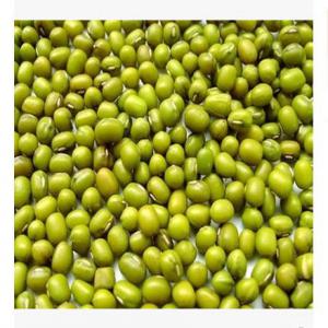 Mung bean ou haricot mungo - céréales du mung bean disponible à ouagadougou.---prix -1000f le kg---livraison possible à ouagadougou