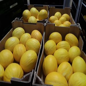 FRUITS DE SAISONS - fruits et légumes bonjour ,  vente de melon et de pastèque espagnole ,  différents calibres et variété ,  peche jaune espagnole ,  calibre 22 variété babigot 6--prix a discuté 