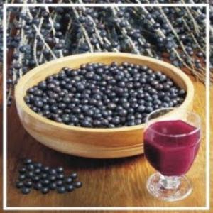 Acai, specialité amazonienne - fruits secs et graines grillées bonjour, --recherche marchés pour l'açai fruit de la jungle amazoienne,  qui pousse à l'état sauvage en colombie. reconnu pour ses propriétés nutritionnelles - considéré comme un super-aliment pour sa haute teneur en anti-oxydants,  en omegas 3,  6