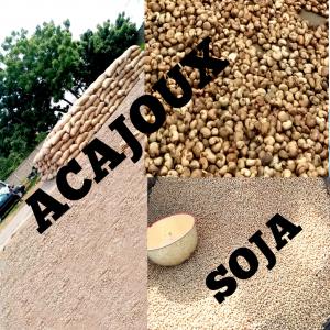 recherche de clients pour acajoux soja,  - fruits secs et graines grillées salut --je chercher un client pour les produits agricoles,  je vend des tonnes de produits tels que les graines d' acajoux,   les graines de soja,  les graines de karité,  le mais et les haricots.--