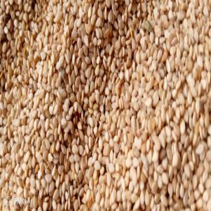 Sesame bigarré disponible  - céréales bonjour mr./ mme., --nous avons disponible au burkina faso du sesame bigarré. dans la zone de ouagadougou. contactez nous pour vos demandes. merci 