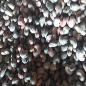 Raw cashew nuts / graine d' anacarbe  - seed plant seed selling raw cashew nuts ,  fresh production and good quality. --vente des graines d'anacarde brute non transformé de très bonne qualité 