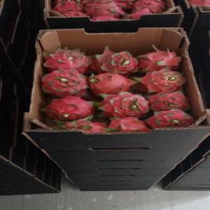 Moroccan Tasty Dragon fruit - fruits and vegetables  family company based in agadir (southern morocco) specialized in the production of dragon fruits (red with white flesh and red with red flesh) since 2018. we already successfully sell our production locally. --today,  our approach is in line with the will to extend our activity to the european marke