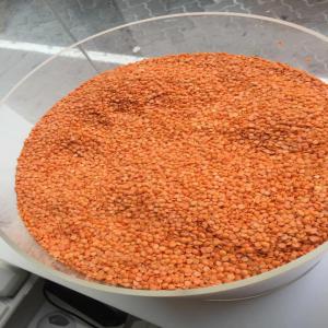 100% HIGH QUALITY RED SPLIT LENTILS  FOR SALE  - other product name	 red lentil--color	-- red----shelf life	 12 months--feature	 no addition, high nutritional value--storage condition	 dry places and keep ventilation--quality	 grade 5a--size	 2.5mm+--packaging details	 about 10-30kg/carton