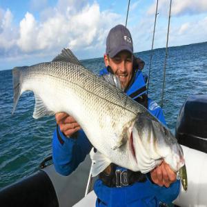 Poissons frais a vendre - poissons pour tout vos besoin en fruits de mer poissons crustacés et autres vous pouvez nous contactez livraison offerte a partir de 10 kgs livraison dans tout l'europe cordialement mr thibert sébastien 