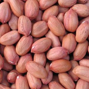 sell peanuts from africa in ukraine - fat ltd is specialized in export of  peanuts and kidney beans --mostly we are selling in ukraine and everywhere in europe .peanuts ( kernels,  blanched peanuts all the size are available)--beans( red bean,  white beans,  yellow beans,  black beans ) if you are interested feel free to contact me  for price a