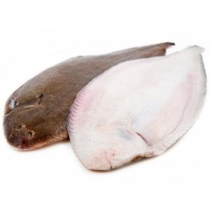 Achat Sole longue, peluda ou suace  - poissons nous sommes une entreprise de droit sénégalaise avec un volet production et achat de produits halieutiques tel que les soles longues,  suaces ou peluda. nous sollicitons une recommandation de votre part à de collaborateurs et partenaires sérieux.