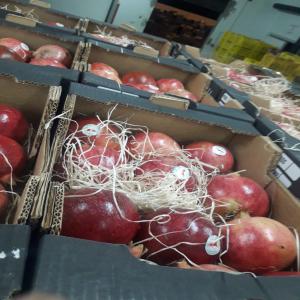 Grenades conventionnels et Bio de la Tunisie - fruits et légumes bonjour--nous disposons actuellement d'une quantité de grenades de très bonnes qualité,  de goût très sucré et à un intéressant prix.--pour ceux intéressés par les produits bio,  nous pouvons vous offrir jusqu'à 100 tonnes de 