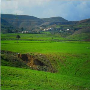 Marbre et carbonate de calcium - pierre roche propriétaire de plus que 100 hectares situés dans la région d'el ksour à 30 km au nord- ouest tunisien (titres fonciers individuels) relief montagneux (plusieurs montagnes énormes) renfermant des gisements marbriers qui peuvent etre exploités dans l'extracti