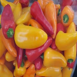 Piment - épices aromates société .... import export. nous proposons nos produits à export grand quantité ,  conditionnement selon votre souhait ,  pour plus de détaille au pour demande contacter nous- --- produit- piment de très bonne qualité. --- quantite -illimité