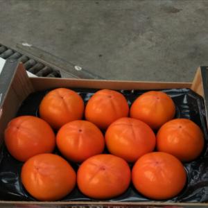 Kakis los mejores precios - fruits and vegetables kakis los mejores de valencia , buenos precios , las mejores naranjas , las mejores mandarinas , disponibilidad inmediata , todos los tamanos , todos los embalajes 