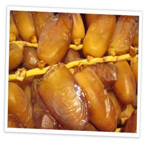 Export of dates, deglet nour - fruits and vegetables hello,  we are day dates (day-dates.com) producer of high quality organic deglet nour dates in algeria.--we have ten categories of dates that will meet your needs.--packaging- 500g,  1 kg,  2 kg,  5 kg or in bulk--quantity available- 30 tons per week.--price- from 1.5 € per kg (depending on the quality)