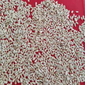 Safflower seed - feed spanish safflower seed (carthamus tinctorius). 2020 crop. white color. quality- purity > 98%. cleaned with optical machine.