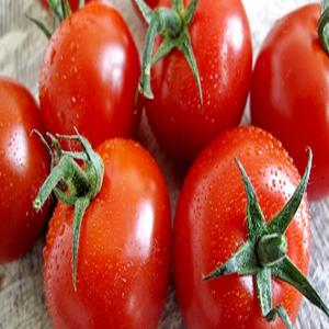 RECHERCHE DE PARTENARIAT POUR LA VENTE DE TOMATE - fruits et légumes nous sommes un groupe de jeunes producteurs de tomates dans la zone de bouaké ( côte d'ivoire).--nous souhaitons travailler avec des industriels dans l'optique d'améliorer notre production et d'avoir des partenaires dans ce domaine.--prière de nous contacter au besoin.----