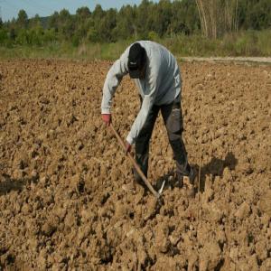 FORMATIONS PROFESSIONNELLES  - autres des à présent aprenez un métier qui vous garantira un avenir radieux et décroché votre diplôme de qualification professionnelle ainsi que votre attestation de fin de formation dans les spécialités suivantes---entrepreneuriat et agriculture --ent