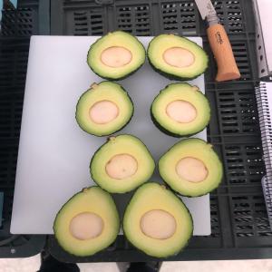 AVOCAT HASS  - fruits et légumes bonjour,  nous vendons des avocats hass de très bonne qualité en provenance de colombie pret à l'export. conditionné dans des cartons 10kg. calibre 12 à 18. si vous etes intéressé n'esitez pas à nous contacter. merci