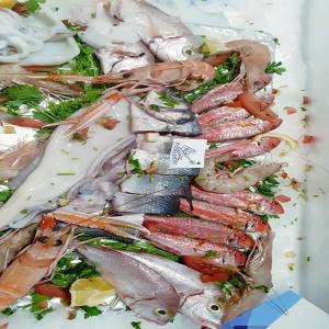 POISSONS ET FRUIT DE MER DE LA TUNISIE  - poissons nous sommes une unité agrée par ue sous n° 158 --on exporte par avion ou bateau des poissons et fruit mer frais .congelé et transformer pour plus d'information n'hésitez pas a nous contacter 