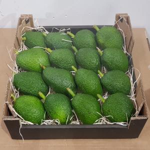 AVOCAT BIO  CERTIFIE - fruits et légumes bonjour,  nous vendons des avocats bio variete hass.  en provenance d'espagne. conditionne dans des cartons de 4kg  calibre 12-18 / 20-22 /24-26 --n'esitez pas a nous contacte. merci