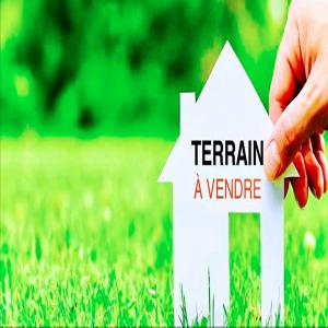 Vente de terrain hectares - mine terrain concession bonjour,  je suis une agence immobilière ici au sénégal. je détiens des terres   des hectares partout dans le sénégal. surtout sur la région de dakar,  casamance et thiés. je suis à la recherche d'acheteurs  