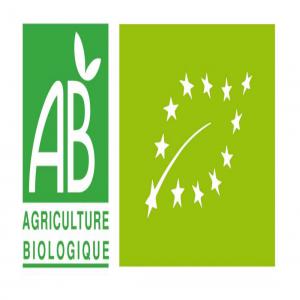 Cherche transporteur camion Hongrie/Belgique - transport transit logistique nous cherchons un transporteur camionneur honnete et discipliné  pour expédier 24 palettes (40 sacs de 25 kg/palette- 24 tonnes de produits de boulangerie sur 24 euro palettes) chaque semaine d'hongrie vers la belgique(région de liège) de façon continuelle et p&eac