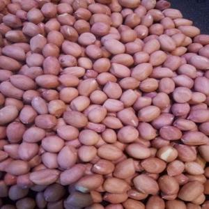 Peanuts, sésames, shea selling - cereals hello,  i'm from burkina faso and i'm looking for partners to export peanuts,  shea,  sésame,  beans in quantity.--anyone interested can contact me on email or by my facebook page which is   faso agricols business 