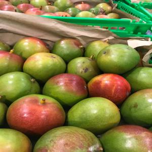 MANGUE KEITT parfumée, juteuse et tendre