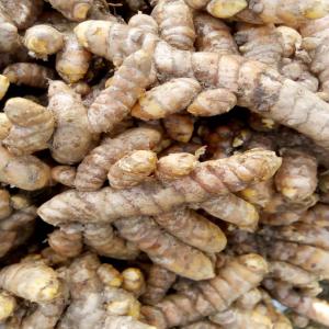 Gingembre et Curcuma frais - épices aromates bonjour, --je recherches des clients pour les d'épices (curcuma frais et moulu ; gingembre moulu et frais ). disponible en grande quantité.--